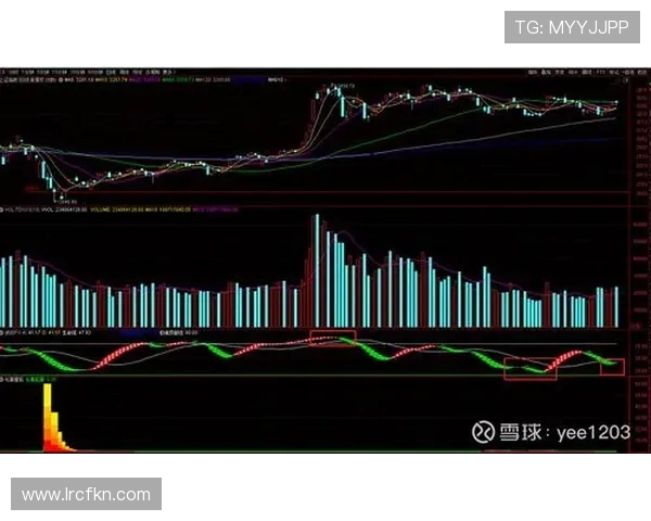 南京篮球队与深圳篮球队赛后状态分析与复盘总结